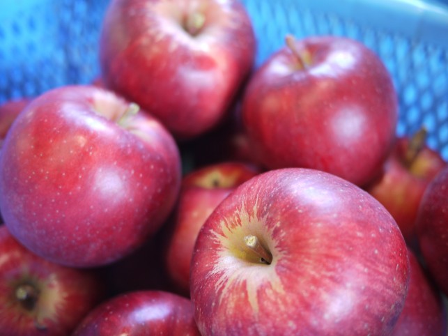 完全有機栽培で作られる林檎～㈱そと川りんご園～