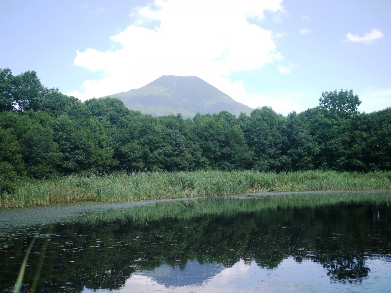 青森 風景 夏 津軽富士 湯段 岩木山 森 池