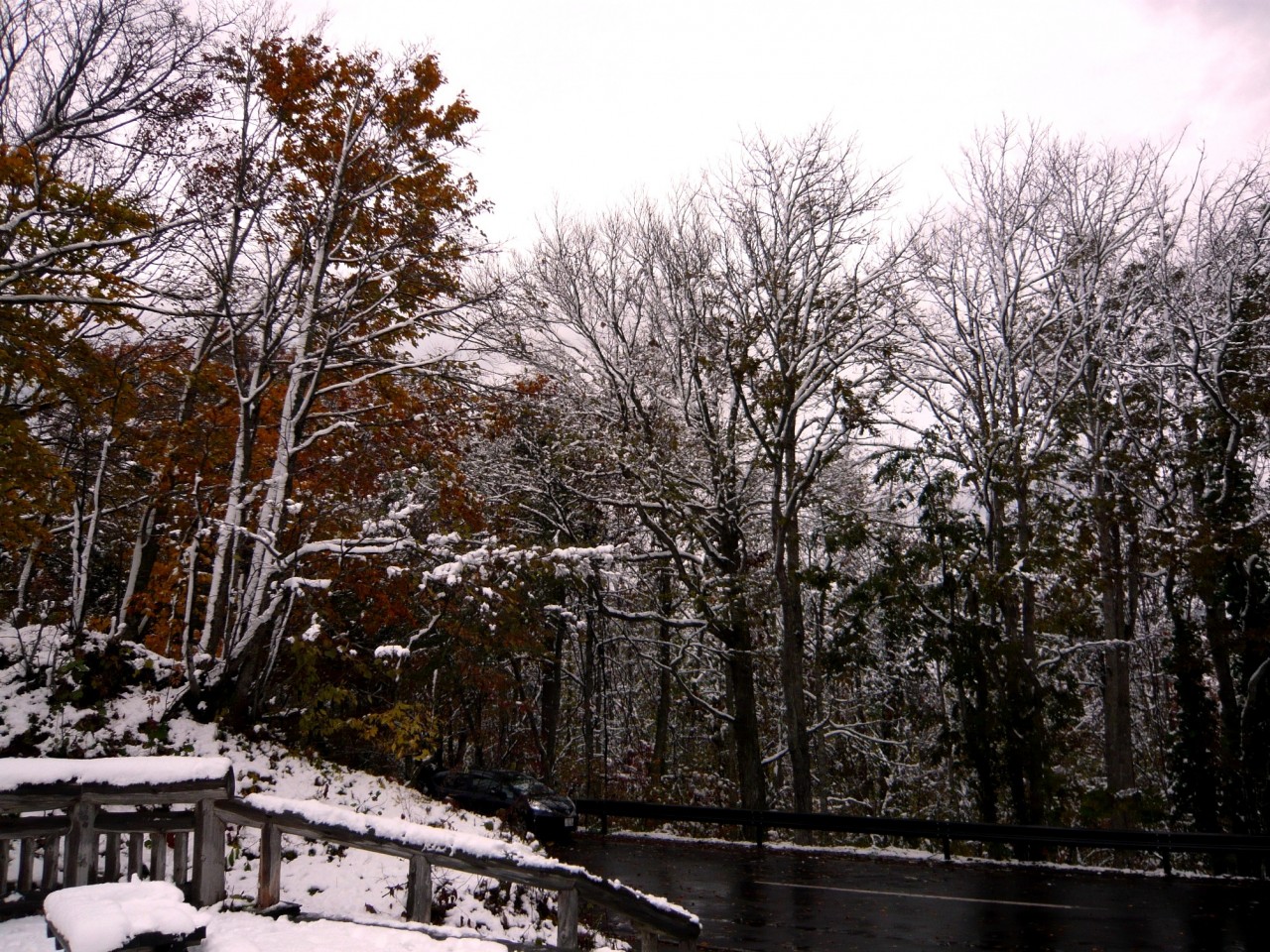 青森 風景 秋 冬 上北 十和田市 十和田湖 紅葉 雪 瞰湖台 展望台