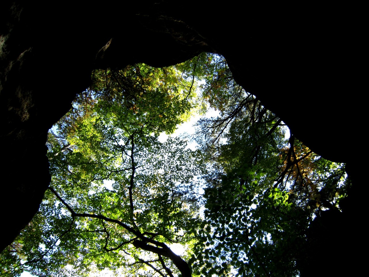 青森 津軽 深浦町 風景 冬 昼 森林 樹 洞窟
