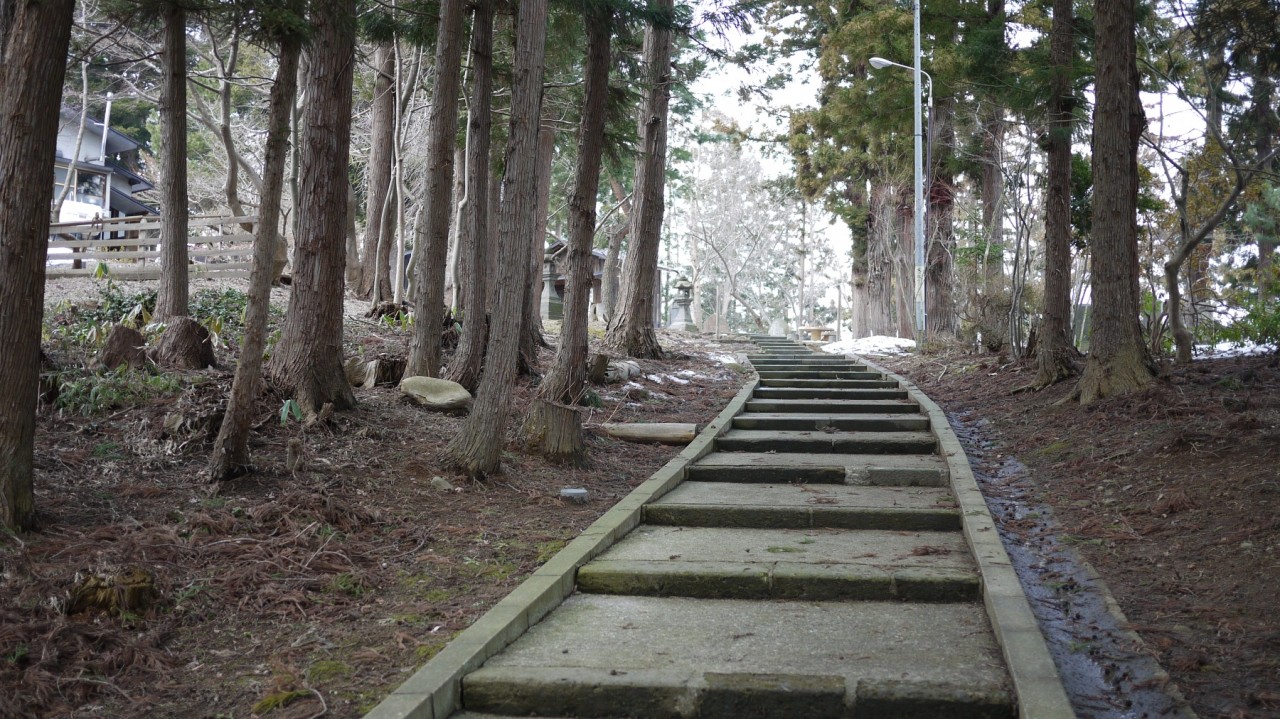 青森 津軽 弘前市 林 風景 春 神社 階段