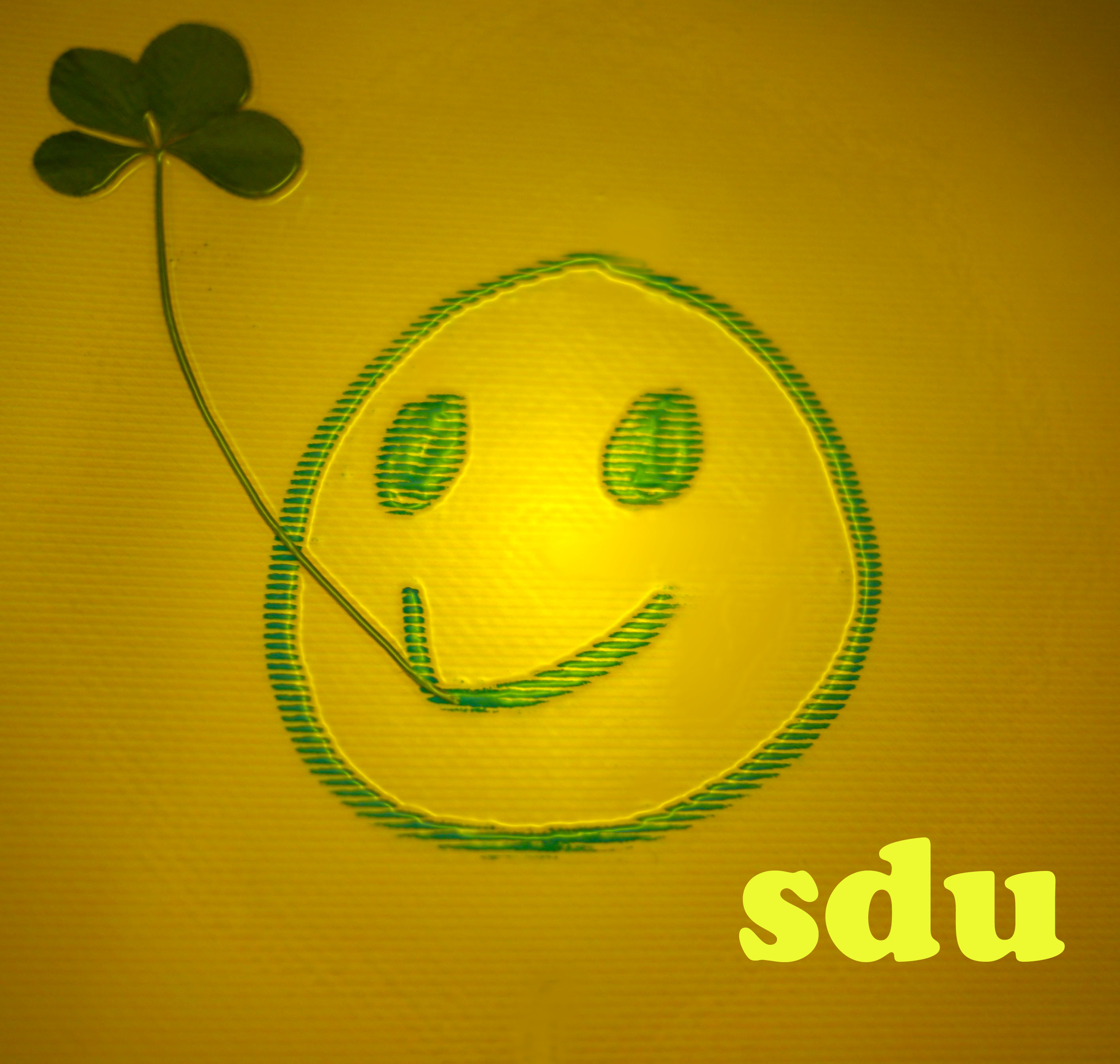 sdu