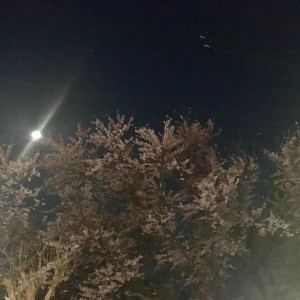 月の光